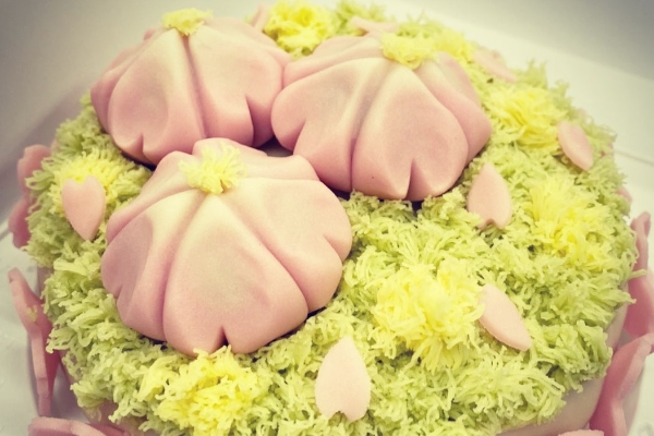 和菓子ケーキ 桜と菜の花